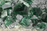 Fluorescent Green Fluorite On Galena - Diana Maria Mine #208850-2